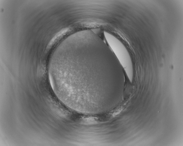 X0000087410407200705111856