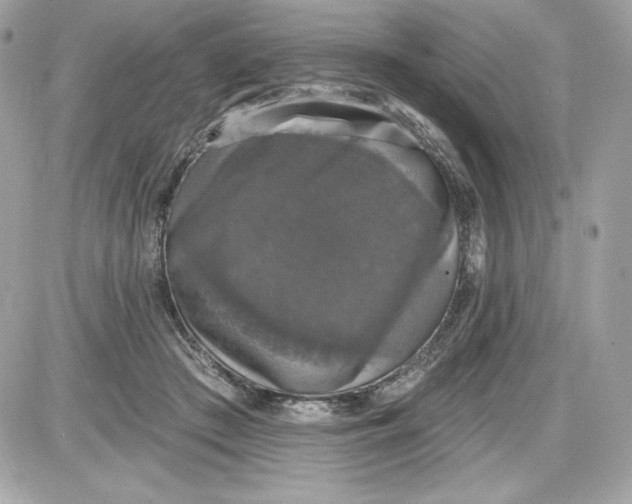 X0000087410409200705111856