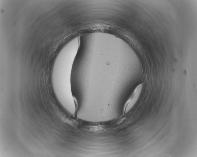 X0000087410411200705111856