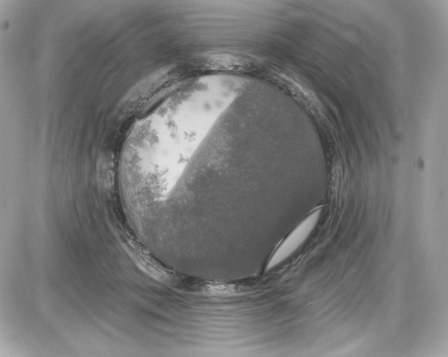 X0000087410413200705111856