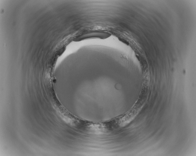 X0000087410415200705111856