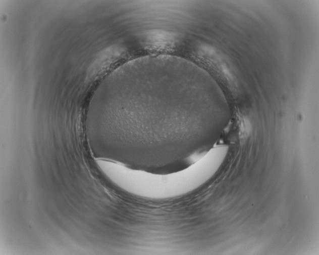 X0000087410416200705111856