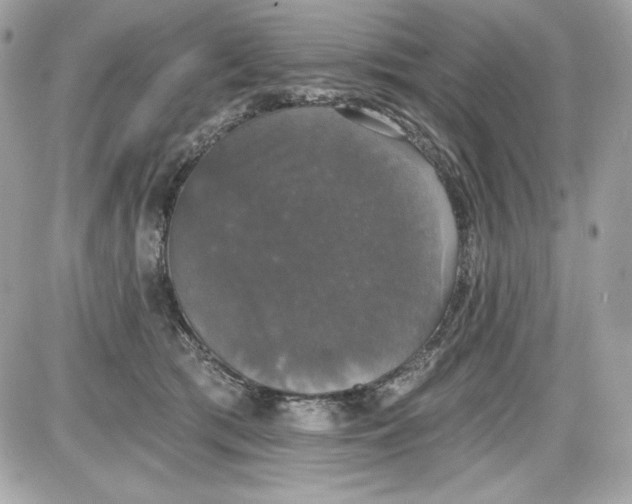 X0000087410417200705111856