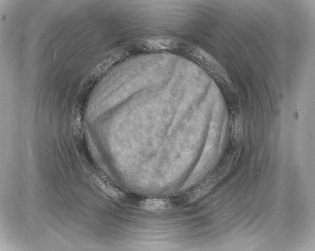 X0000087410418200705111856