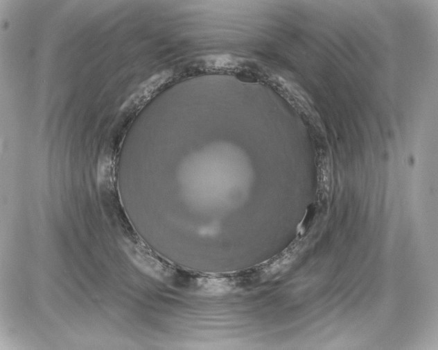 X0000087410419200705111856