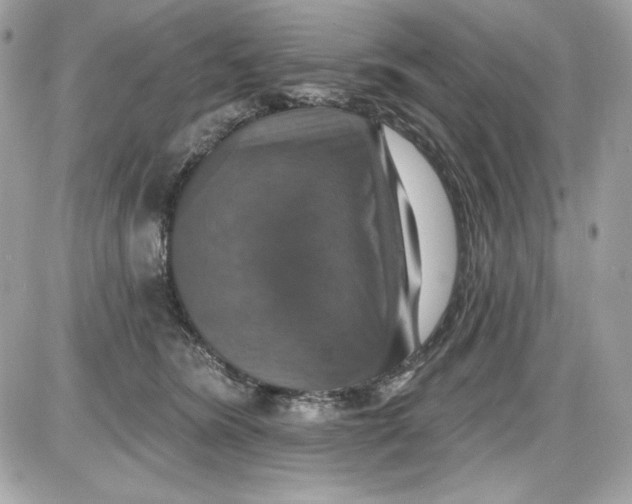 X0000087410420200705111856