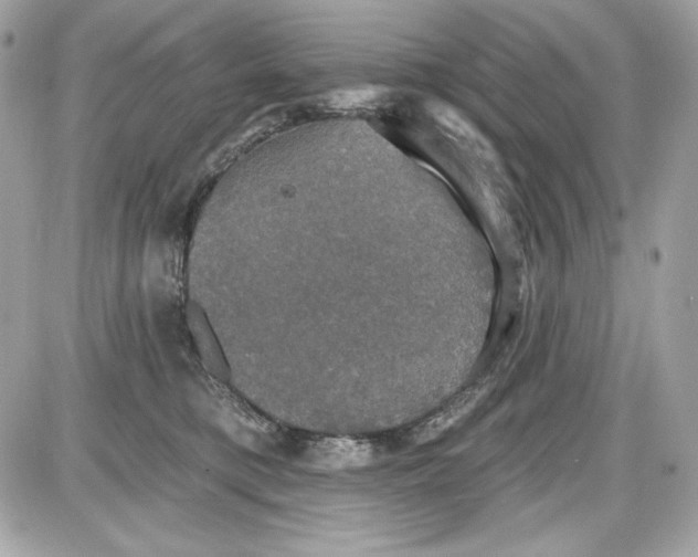 X0000087410421200705111856