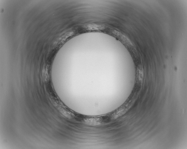 X0000087410422200705111856