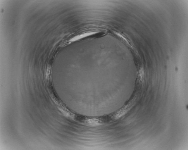 X0000087410423200705111856