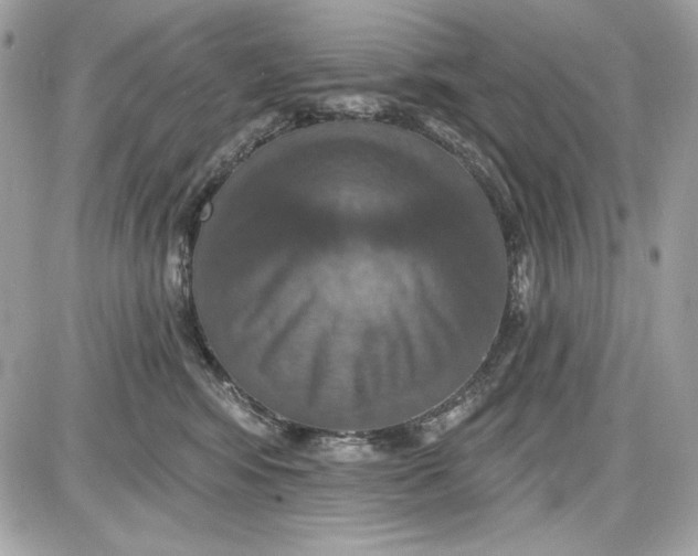 X0000087410424200705111856