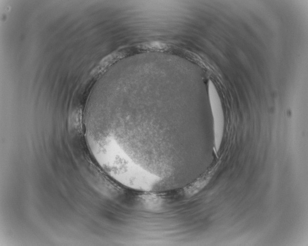 X0000087410425200705111856