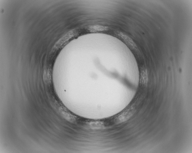 X0000087410426200705111856