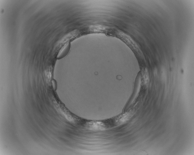 X0000087410427200705111856