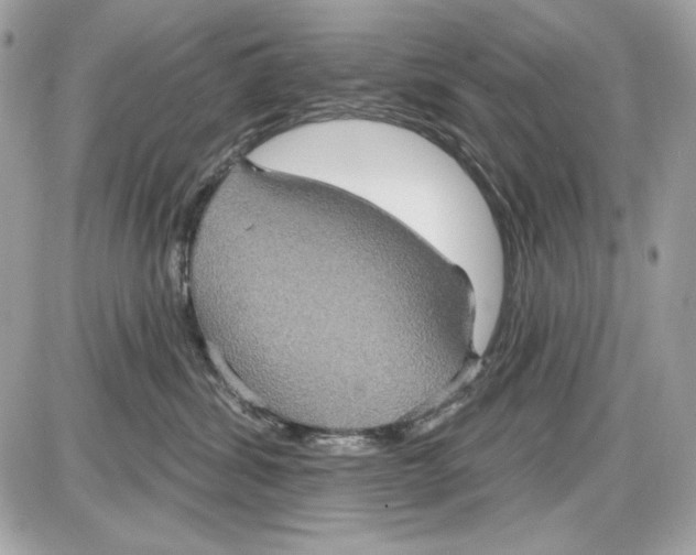 X0000087410428200705111856