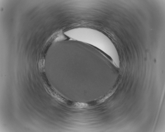 X0000087410429200705111856