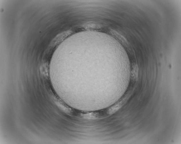 X0000087410430200705111856