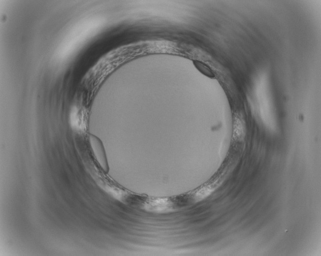 X0000087410431200705111856