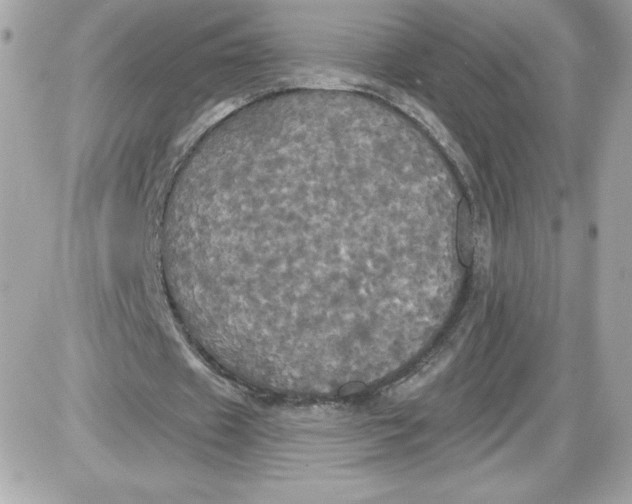 X0000087410433200705111855