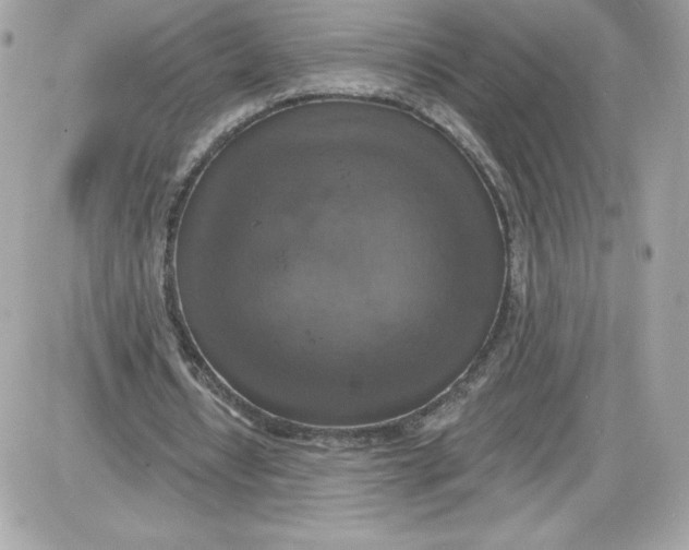 X0000087410434200705111855