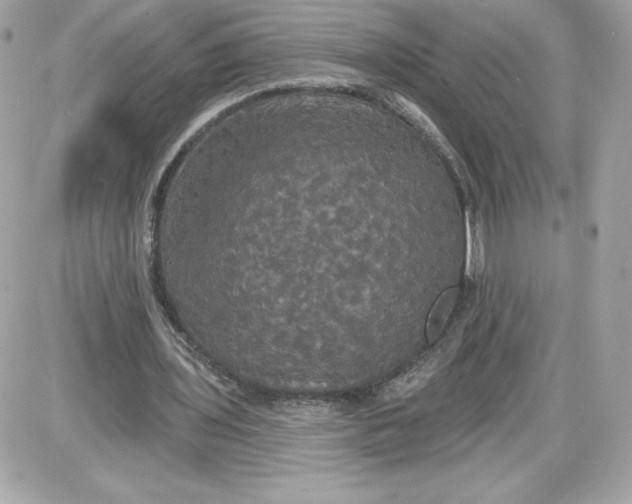 X0000087410435200705111855