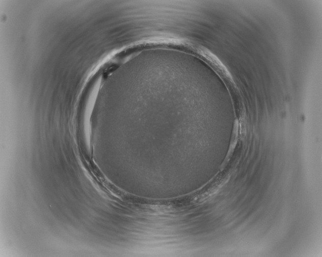 X0000087410436200705111855