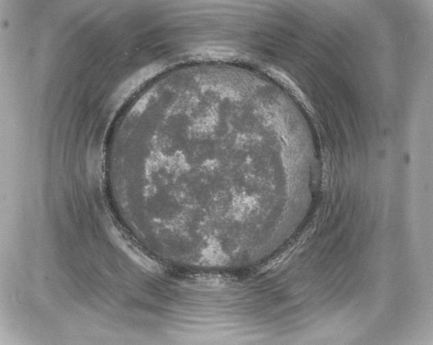 X0000087410439200705111855