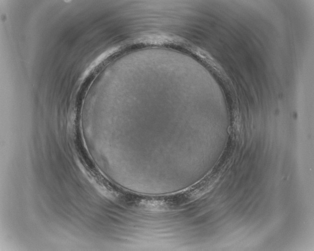 X0000087410440200705111855