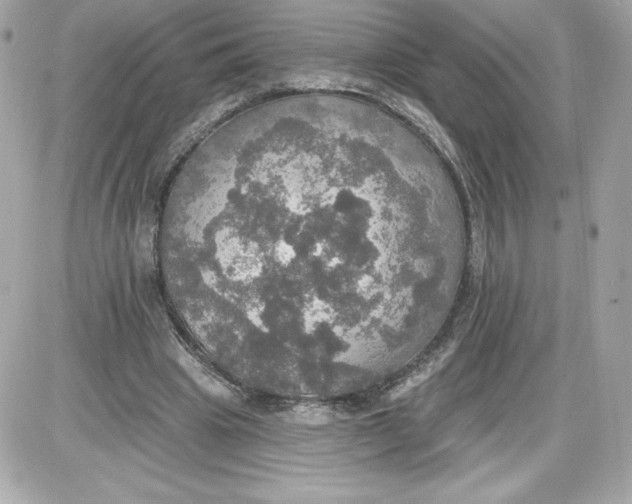 X0000087410441200705111855