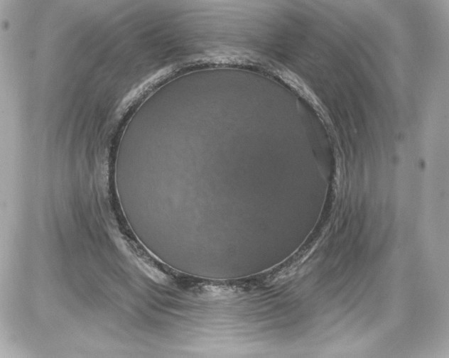 X0000087410442200705111855