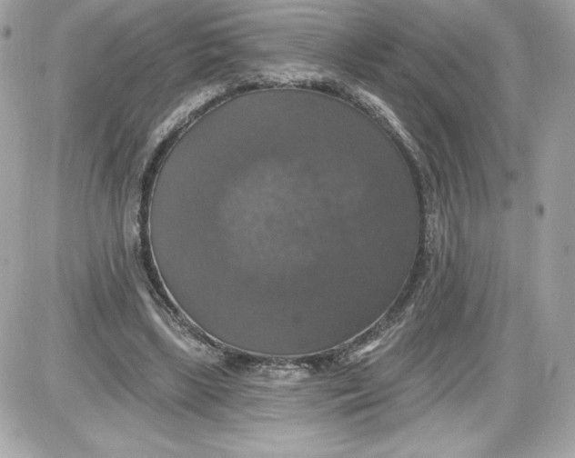 X0000087410443200705111855