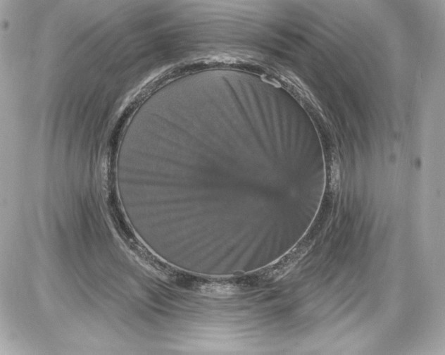 X0000087410444200705111855