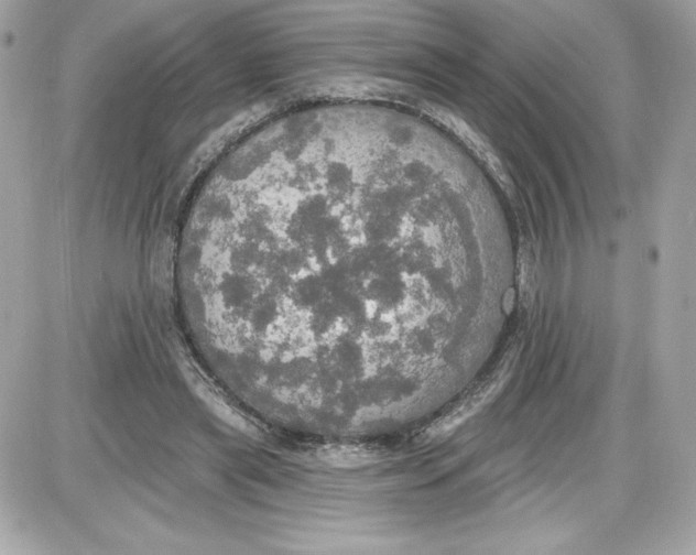 X0000087410445200705111855