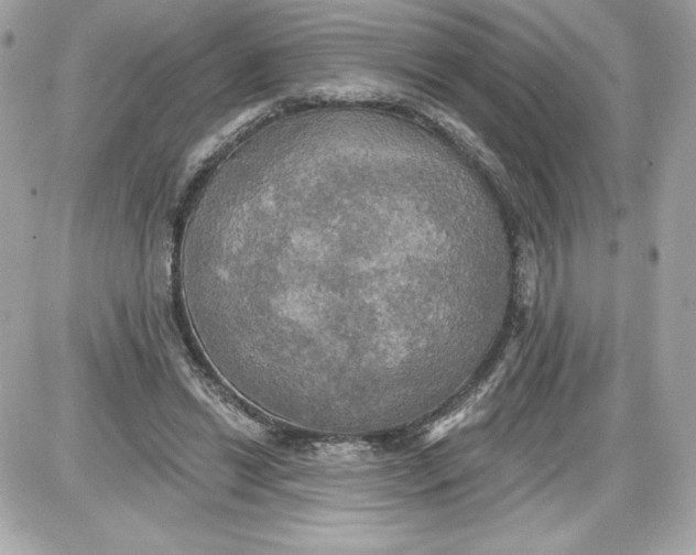 X0000087410446200705111855