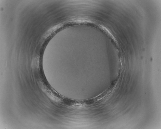 X0000087410447200705111855