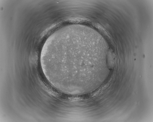 X0000087410448200705111855