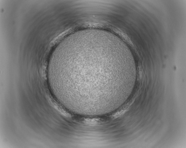 X0000087410450200705111855