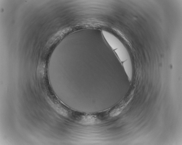 X0000087410451200705111855