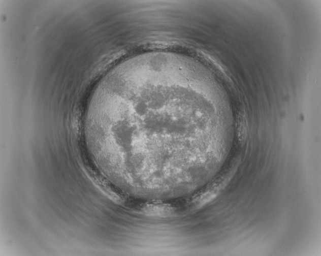 X0000087410455200705111855