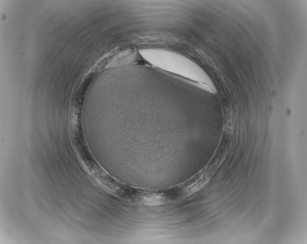 X0000087410456200705111855