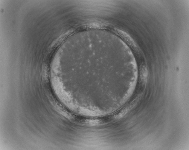 X0000087410457200705111855