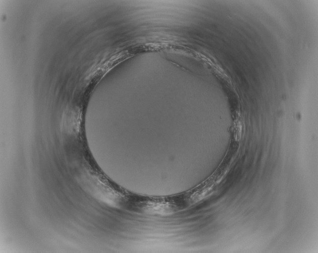 X0000087410458200705111855