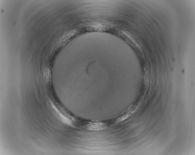 X0000087410459200705111855