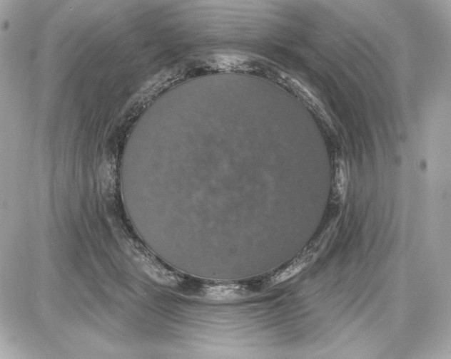 X0000087410461200705111855