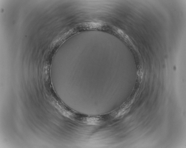 X0000087410462200705111855