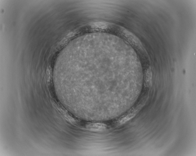 X0000087410463200705111855