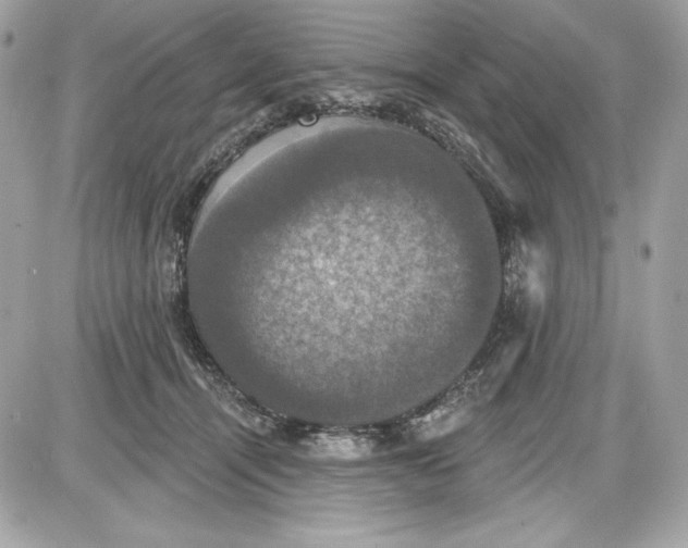 X0000087410464200705111855