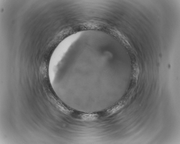 X0000087410465200705111855