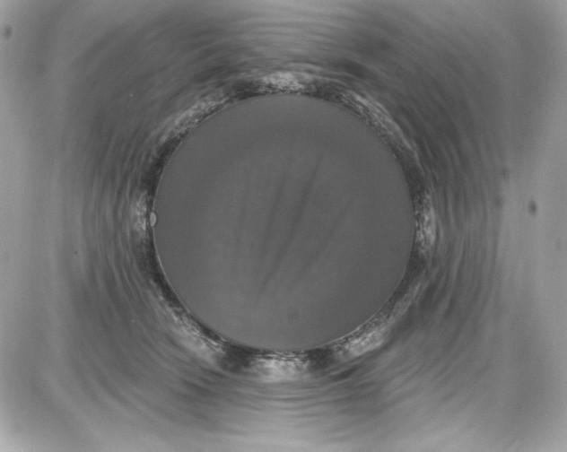 X0000087410466200705111855