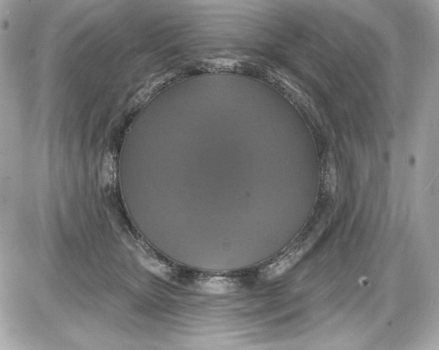 X0000087410467200705111856