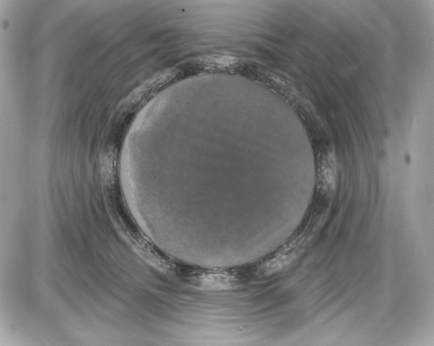 X0000087410468200705111856